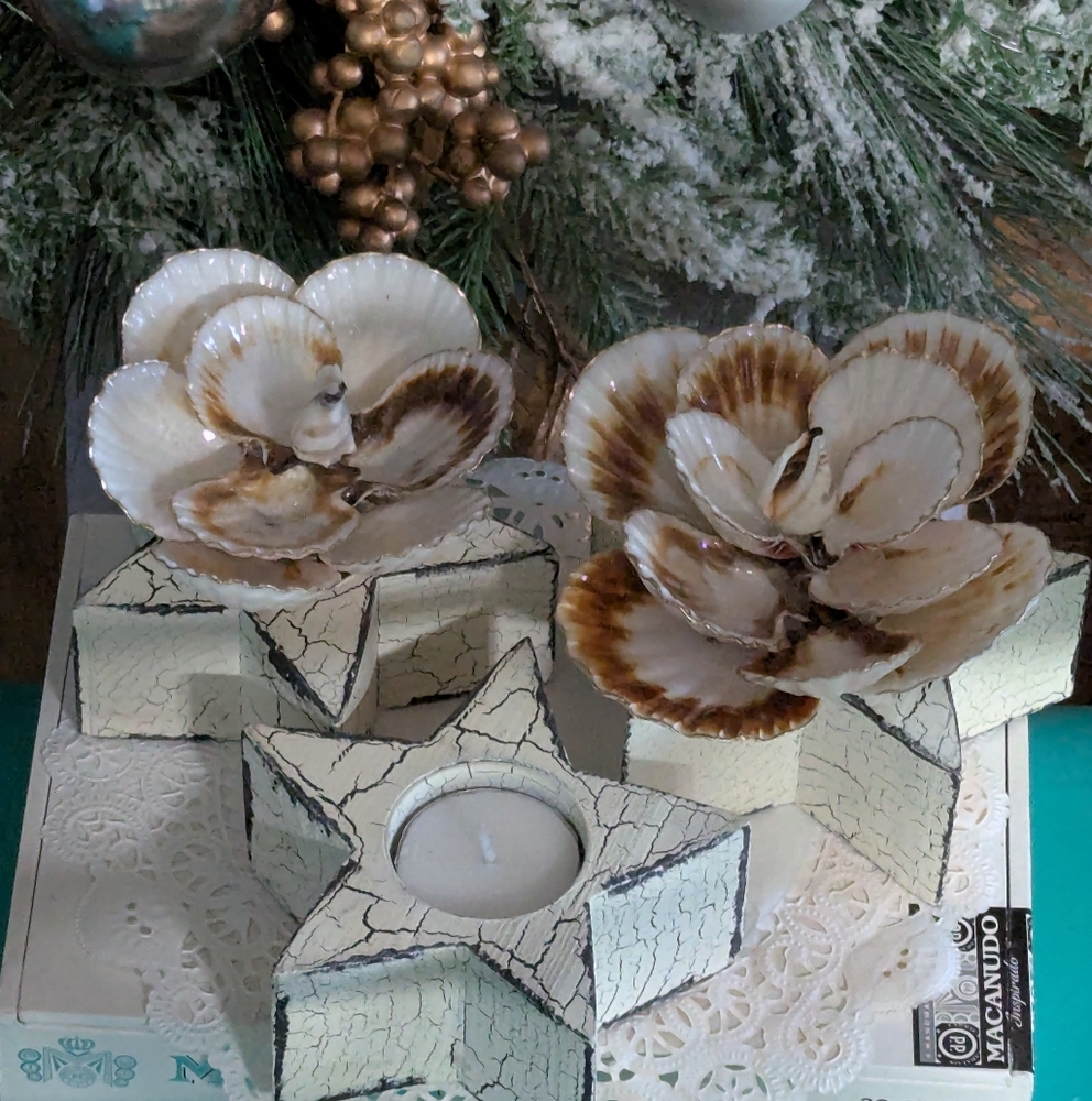 Handcrafted Shell Star Trio Candleholder And Shell Flowers Decor